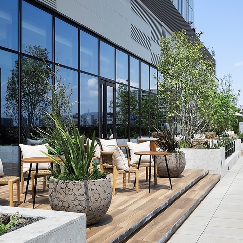 VFg rbtF Daily Social