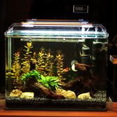 店内には美しいアクアリウムがあります。色鮮やかな熱帯魚が優雅に泳ぐ様子は、まるで都会のオアシス。忙しい日常を忘れさせてくれる、癒しの空間演出に心ときめくこと間違いなしです★