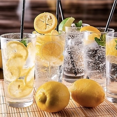 なまいき 武蔵小杉店のコース写真