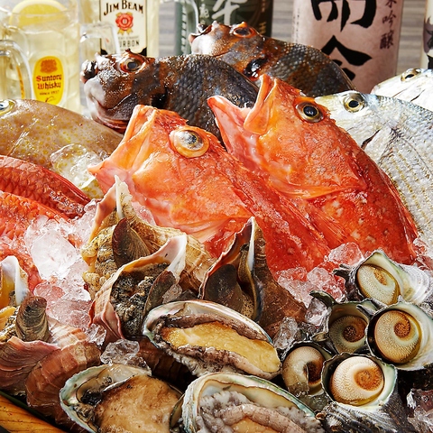 日本各地各地の【釣り魚・地魚】、旬の一品料理でお楽しみ下さい