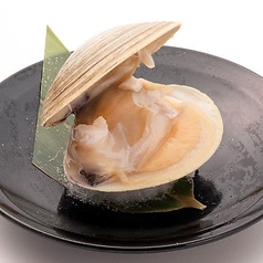 （千葉県産）ホンビノス貝