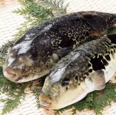 一魚一会 本店のおすすめ料理2