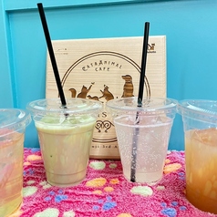 Cat&Animal Cafe Noah s Ark ノアズアーク 大阪天神橋3丁目店のコース写真