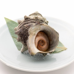 （国産）サザエ