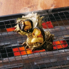 【卓上焼き】 活サザエ