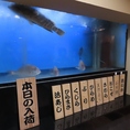 いつでも天然活魚がお愉しみいただけるように店内には、約2トンの巨大生簀を完備しております。魚は漁師と直接取引をして素材の鮮度と安全にこだわります。漁師直送の天然活魚、そして市場直送の鮮魚の数々を目利き、厳選し丁寧に調理いたします。