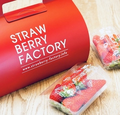 Strawberry Factoryの写真