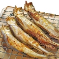料理メニュー写真 ししゃも焼き