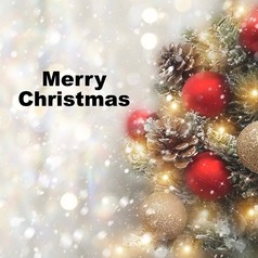 肉料理おまつのコース写真