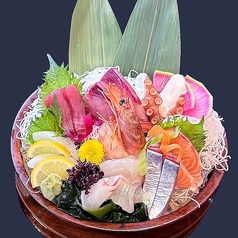 【おまかせ刺身盛】本日のおすすめ鮮魚 各種