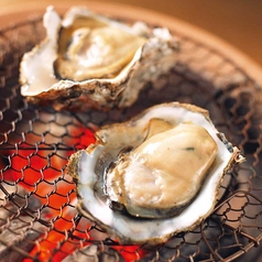 【厚岸】炭火焼き 焼き牡蠣　［1ヶ］