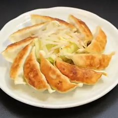 浜松ぎょうざ　10個