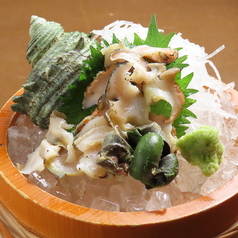 能登さざえ刺身