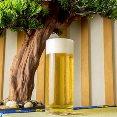 シャンディガフ