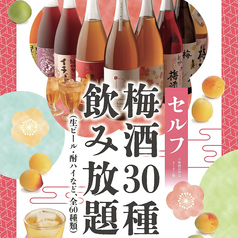 博多野菜巻き串 餃子 こだわり酎ハイ きばくもん 静岡呉服町店のコース写真