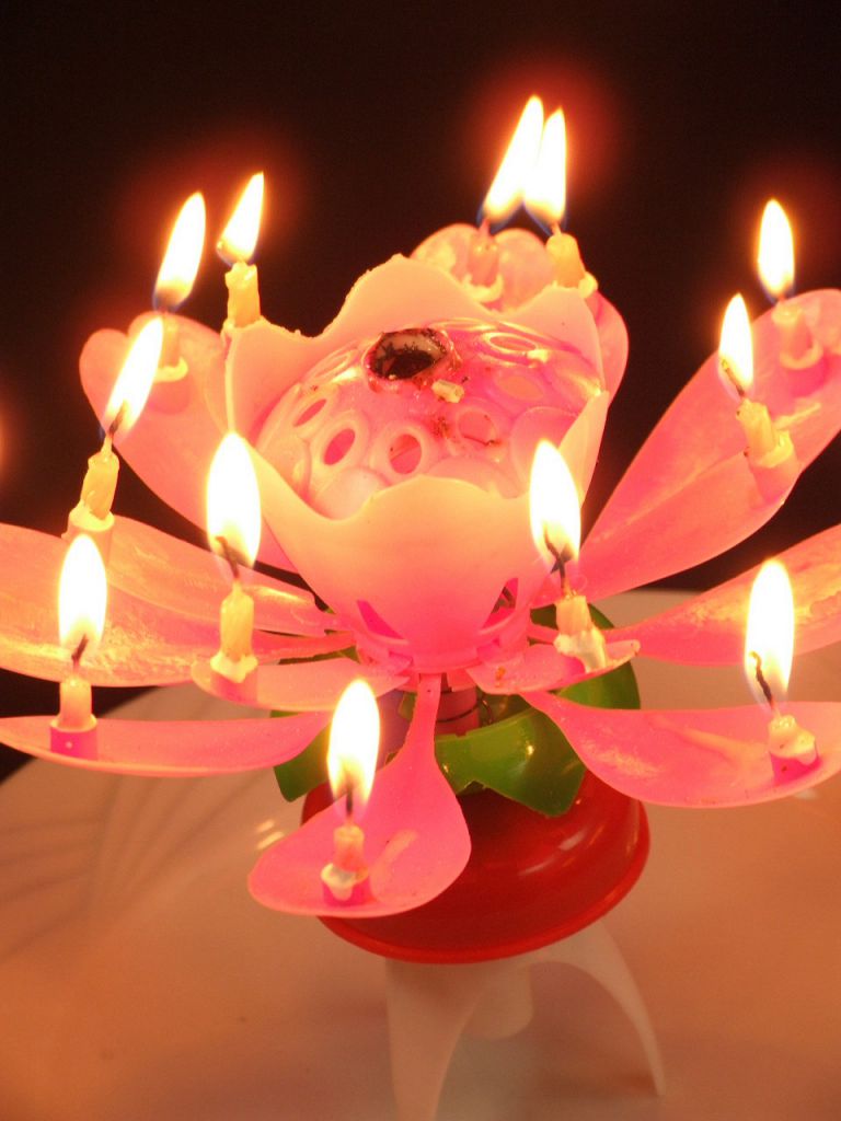 栄吉飯店の写真ギャラリー