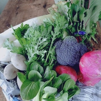 季節の新鮮な野菜