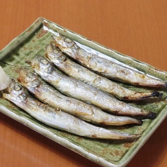 子持ちシシャモ