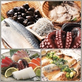 天王寺・阿倍野で楽しむ大阪の味!近畿各地から厳選した鮮魚を職人の技で仕上げます。地元の食の魅力を余すことなくご堪能ください。天王寺駅前駅から直結で時間を気にせず楽しめるので、会社帰りの飲み会から友人との食事、ハルカス観光帰りの一杯にも最適です♪