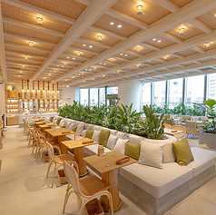 ALCHEMY アルケミーの雰囲気3