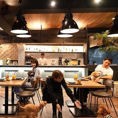 【プードル専門ドッグカフェ】　The Y's CAFE 大須本店のおすすめポイント1