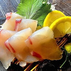 個室居酒屋 そざい庵 SOZAIAN 梅田駅店のコース写真