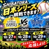 Dinng & Sake Bar SHIBATORA シバトラ 新橋店のおすすめポイント1