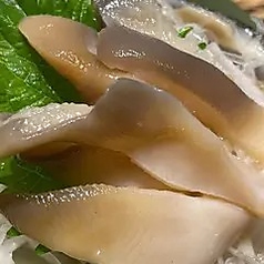 苫小牧産 ほっき刺身