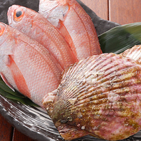 豊洲直送の鮮魚やこだわりの料理を職人技で仕上げる逸品