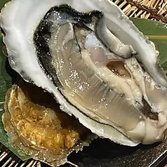 厚岸直送 生かき