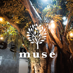シーシャカフェ&バー muse 六本木店の雰囲気2