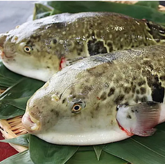 姫路和屋 武蔵 たけぞうのコース写真