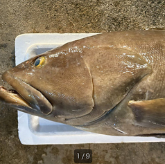 三浦の台所 哲 横須賀中央のコース写真