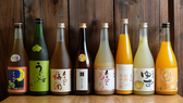 週替わりで約10本ほどの季節限定酒やおすすめ日本酒をお出ししています。日本酒の酒蔵が日本酒と果実を使って作った『果実酒』は、ロックがおすすめです。梅酒は4種類ほどをご用意しております。