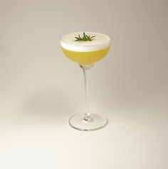 Oliva / オリーバ