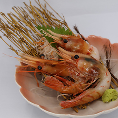 【日替わりメニューもございます】乞うご期待！