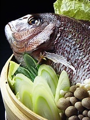 海だよりのコース写真