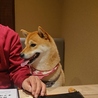 やまかん亭のおすすめポイント2
