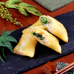 本日の変わり春巻き(2本)