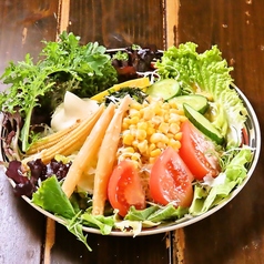 庄屋サラダ(地元の採れたて野菜使用)　普通盛り