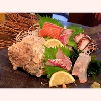 魚のプロが選ぶ、今日一番の美味しさ