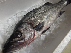 近場の港で朝どれ鮮魚のアクアパッツァ　(ディナーでは大きめなお魚を使用)