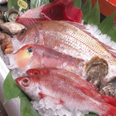 料理 なか川の詳細