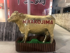 宮古島 牛王鍋の雰囲気1