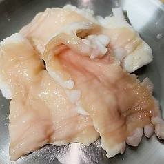 シマチョウ