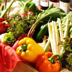 産地直送野菜を使用