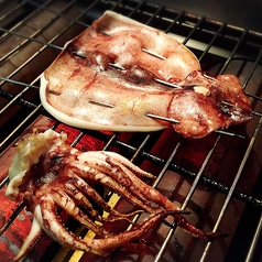 イカの一夜干し