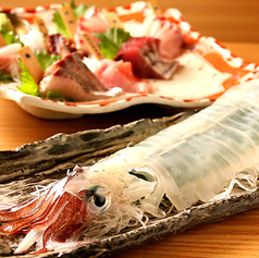 横浜イカセンターの写真