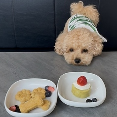 tete's kitchenの雰囲気3