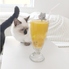 Cat Relax Homeのロゴ